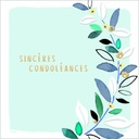 XRRKI129_SANS ENVELOPPE.jpg (produit_nu)