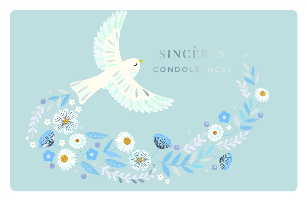 XCDFL099_SANS ENVELOPPE.jpg (produit_nu)
