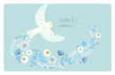 XCDFL099_SANS ENVELOPPE.jpg (produit_nu)