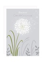 XRRCO008_SANS ENVELOPPE.jpg (produit_nu)