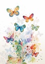 XBAPO009_SANS ENVELOPPE.jpg (produit_nu)