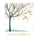XEH61_SANS ENVELOPPE.jpg (produit_nu)