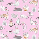 XCDODCK004_SANS ENVELOPPE.jpg (produit_nu)