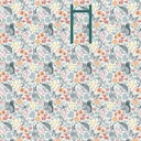 SNAP72T01_3.jpg (produit_nu)