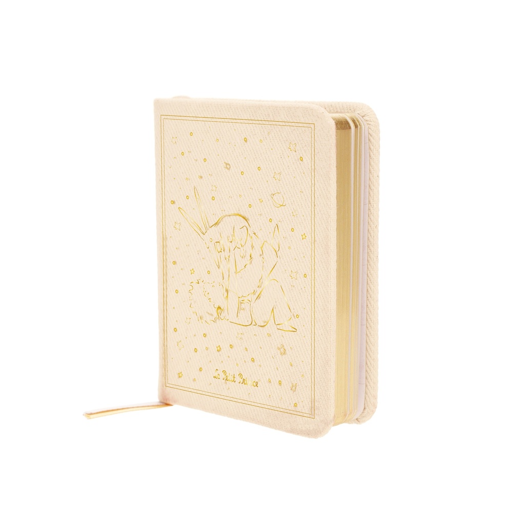 PPCARA7T07G04_4.jpg (produit_nu)