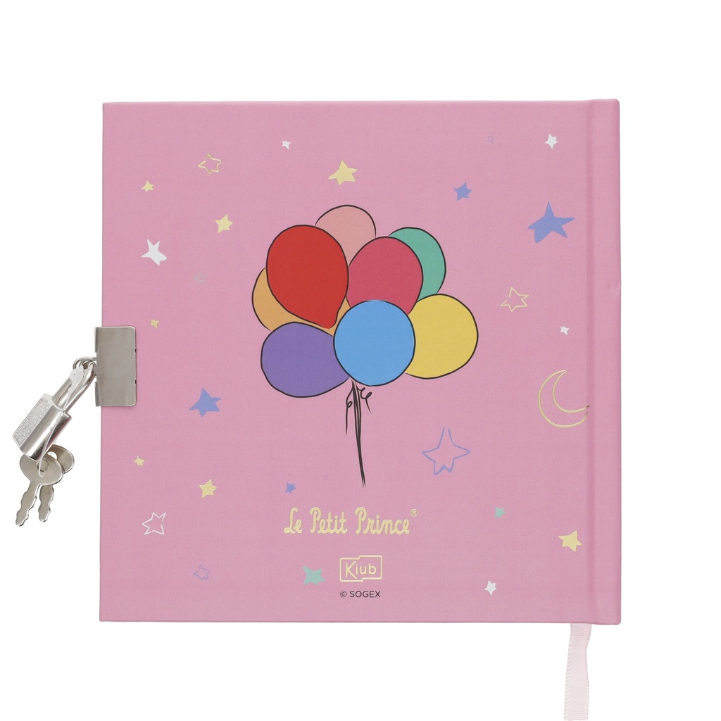 LESAC41O01_2.jpg (produit_nu)