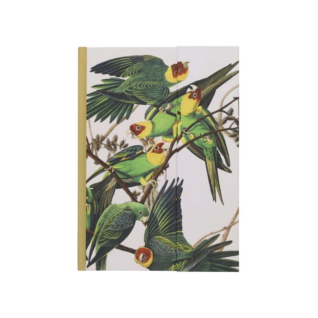 PPNBA5M62J02_2.jpg (produit_nu)