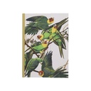PPNBA5M62J02_2.jpg (produit_nu)