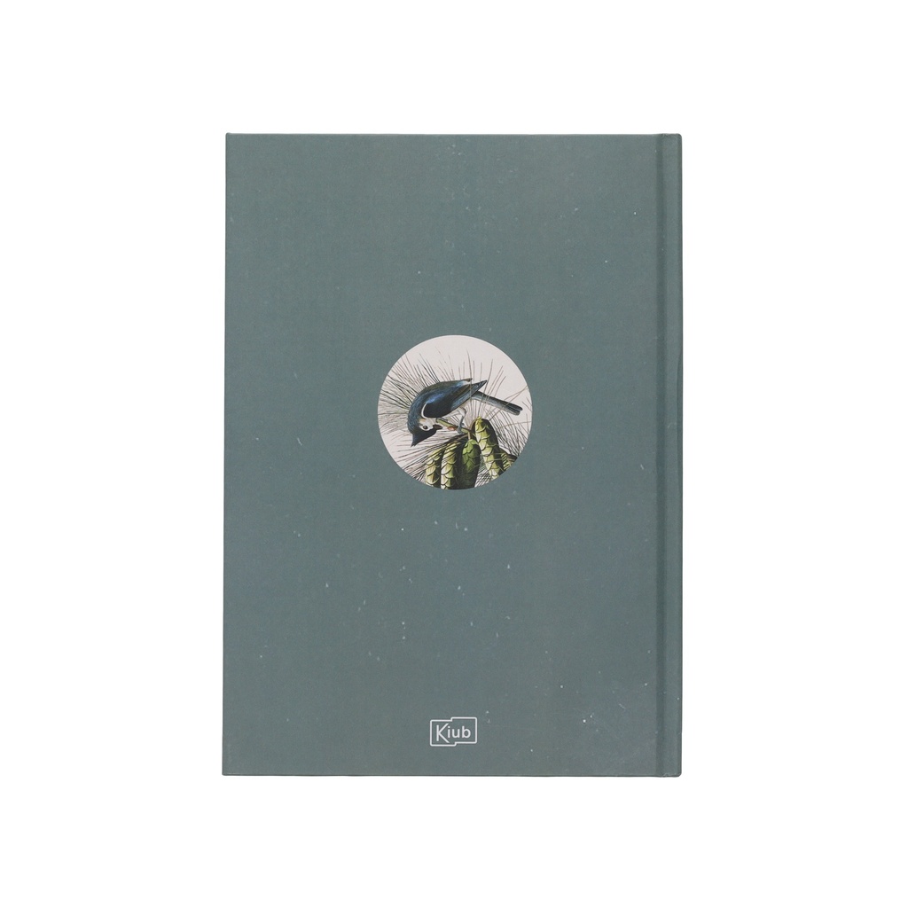 PPNBA5M62J03_3.jpg (produit_nu)
