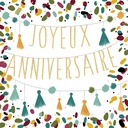 FJB1047_SANS ENVELOPPE.jpg (produit_nu)