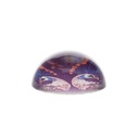 BVPP70R01_2.jpg (produit_nu)