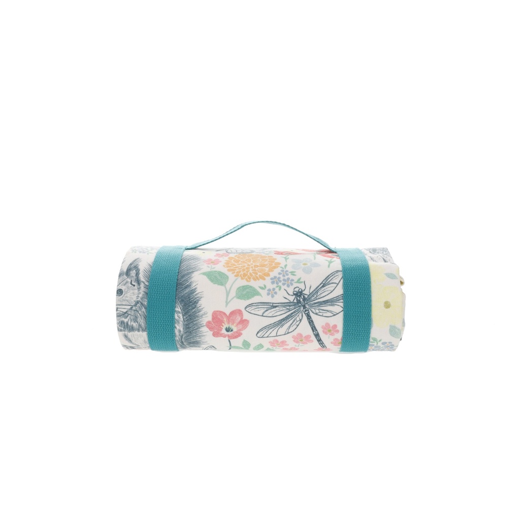 SNAP72T01_2.jpg (produit_nu)