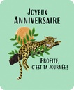 RROD137_SANS ENVELOPPE.jpg (produit_nu)