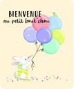 RROD161_SANS ENVELOPPE.jpg (produit_nu)