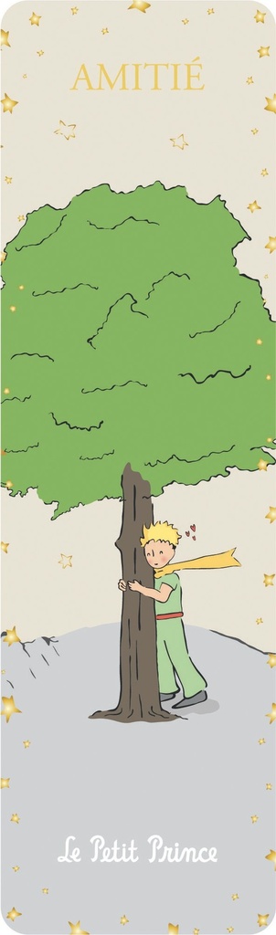 MARQUE PAGES LE PETIT PRINCE MESSAGE