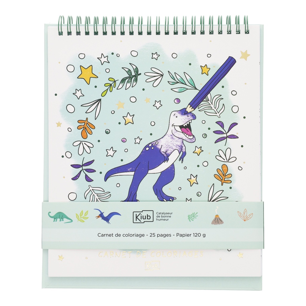CARNET DE COLORIAGE 25 P LES PETITS KIUB DINO