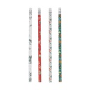 CRAYON A PAPIER AVEC GOMME JARDIN DES MERVEILLES