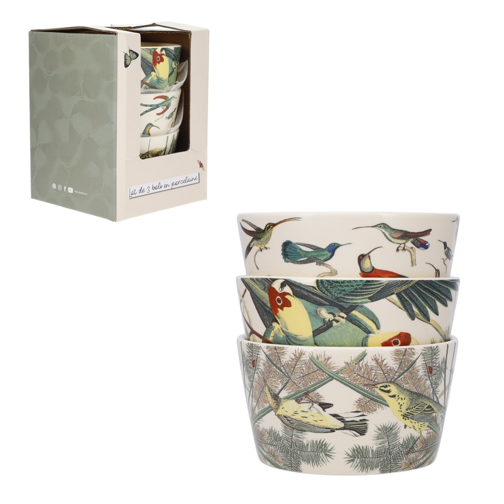 LOT DE 3 BOLS APERO 10 CM + BOITE OUVERTE ENCYCLOPEDIA OISEAUX VERT