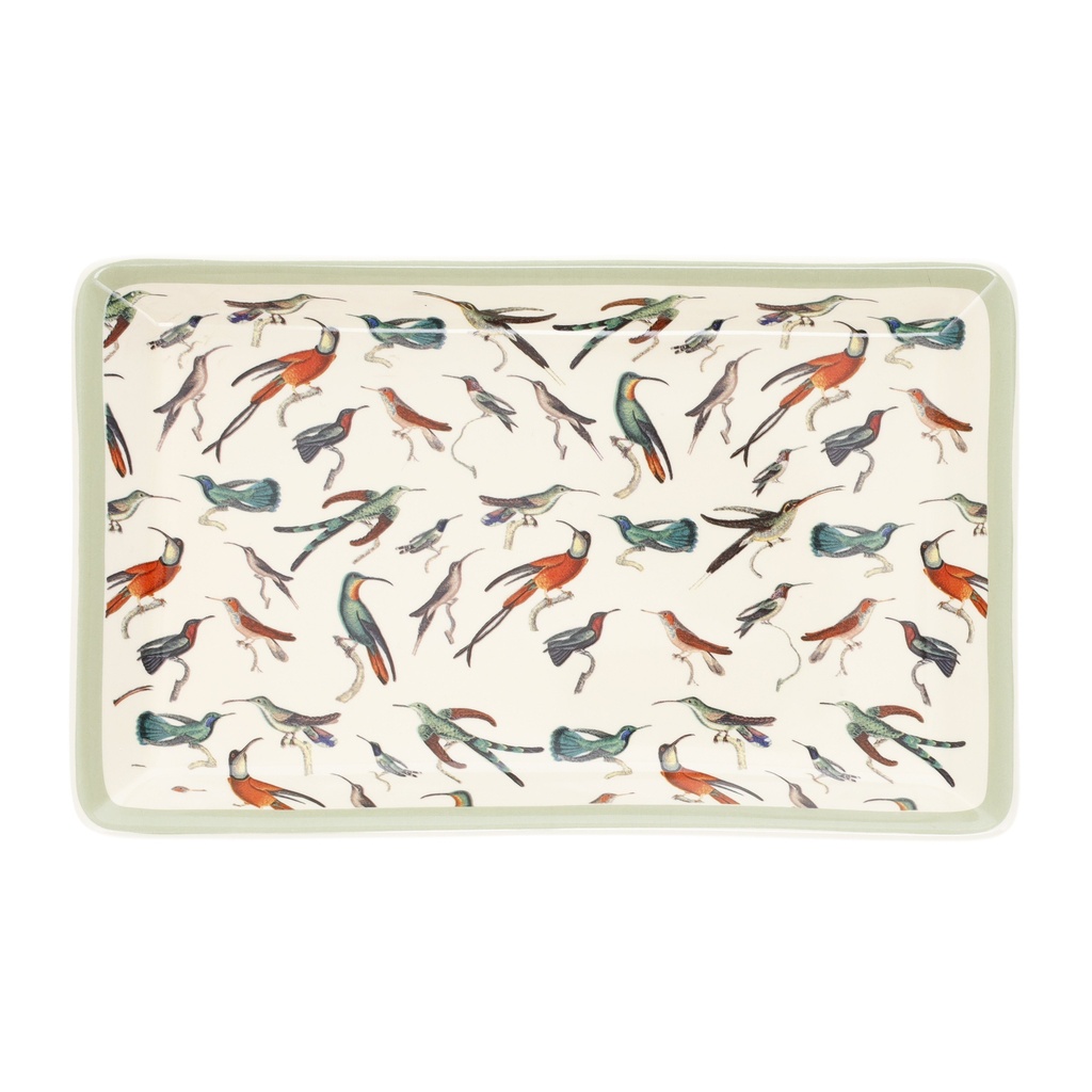 VIDE POCHE EN PORCELAINE ENCYCLOPEDIA PATTERN OISEAUX VERT