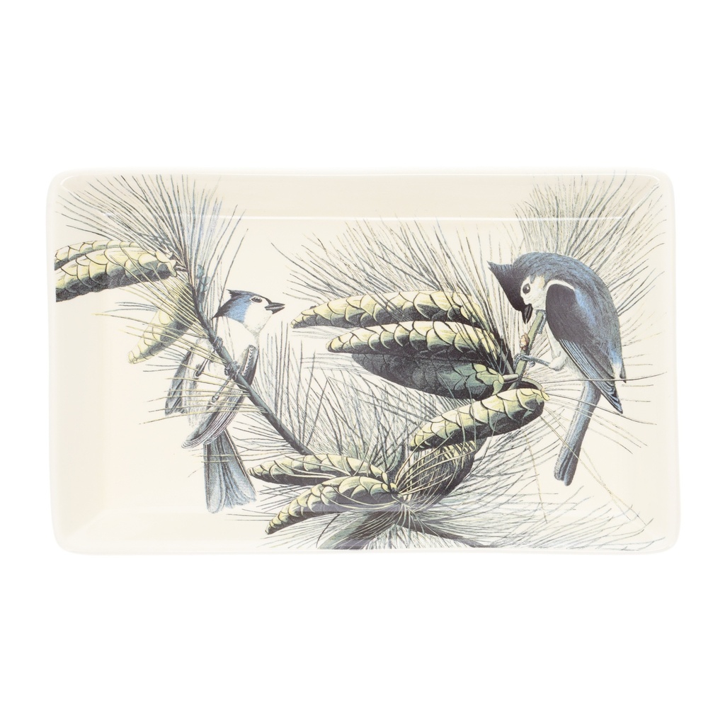 VIDE POCHE EN PORCELAINE ENCYCLOPEDIA OISEAUX VERT