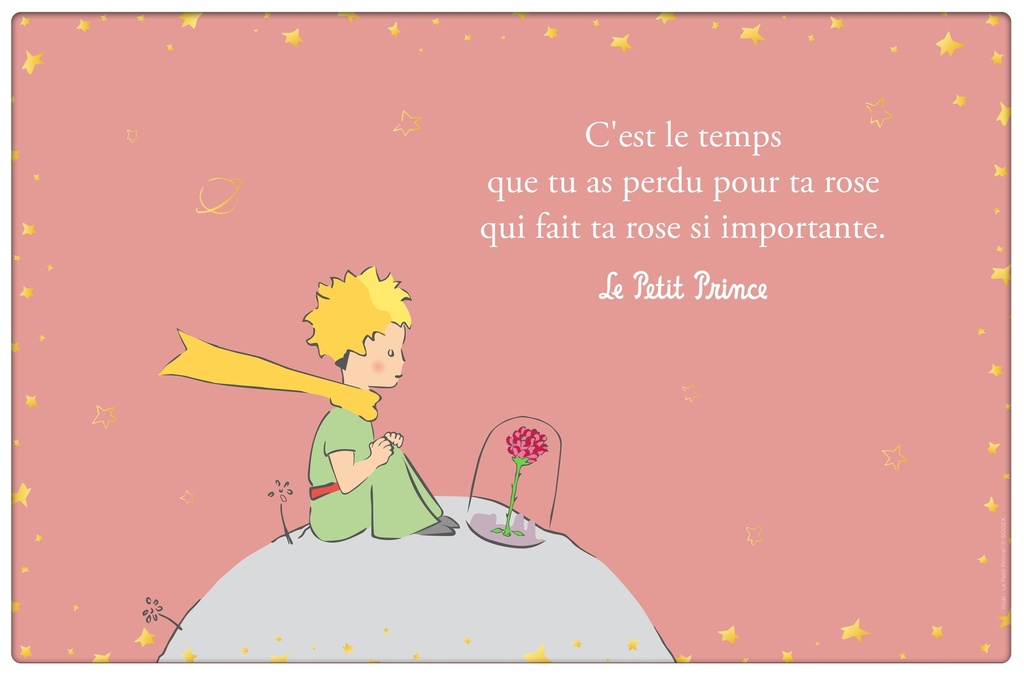 SET DE TABLE LE PETIT PRINCE ROSE