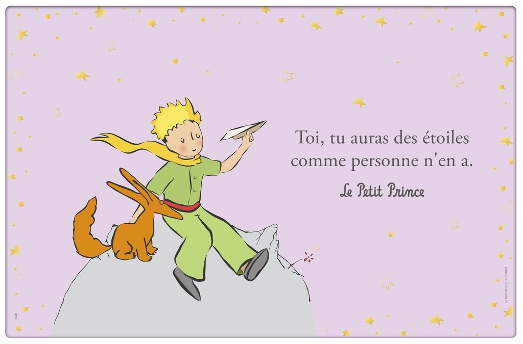 SET DE TABLE LE PETIT PRINCE AVION RENARD