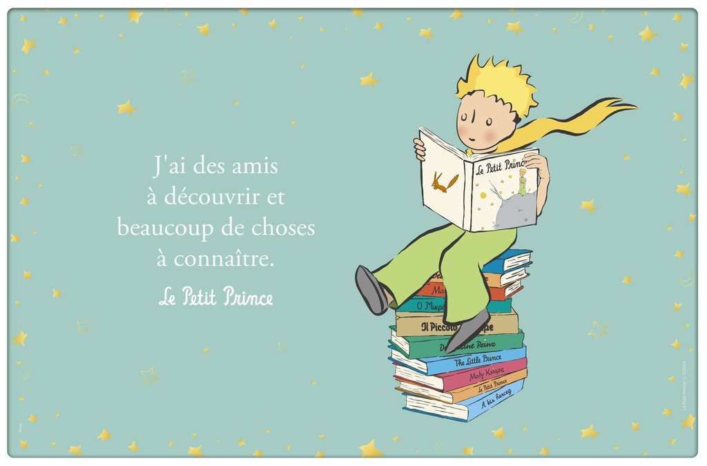 SET DE TABLE LE PETIT PRINCE LIVRES