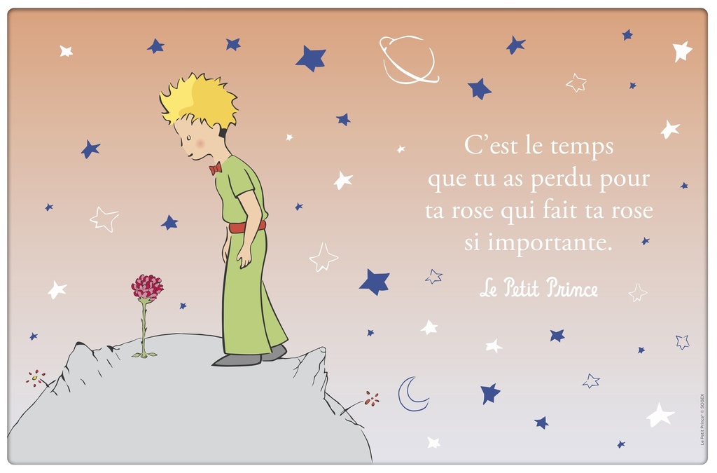 SET DE TABLE LE PETIT PRINCE DEGRADE CLAIR ROSE