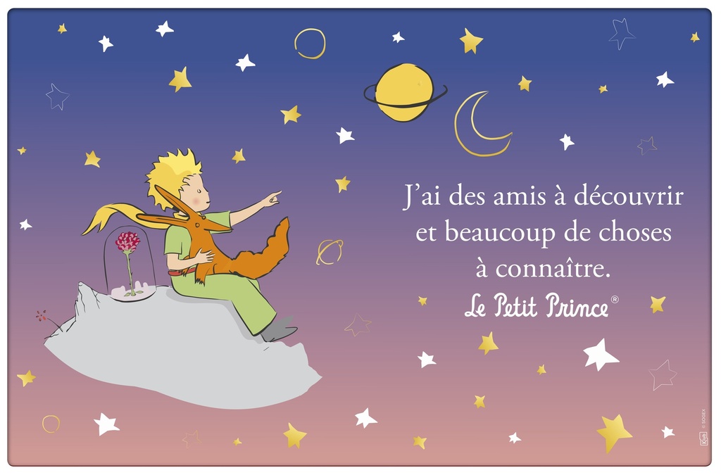 SET DE TABLE LE PETIT PRINCE DEGRADE ASSIS RENARD
