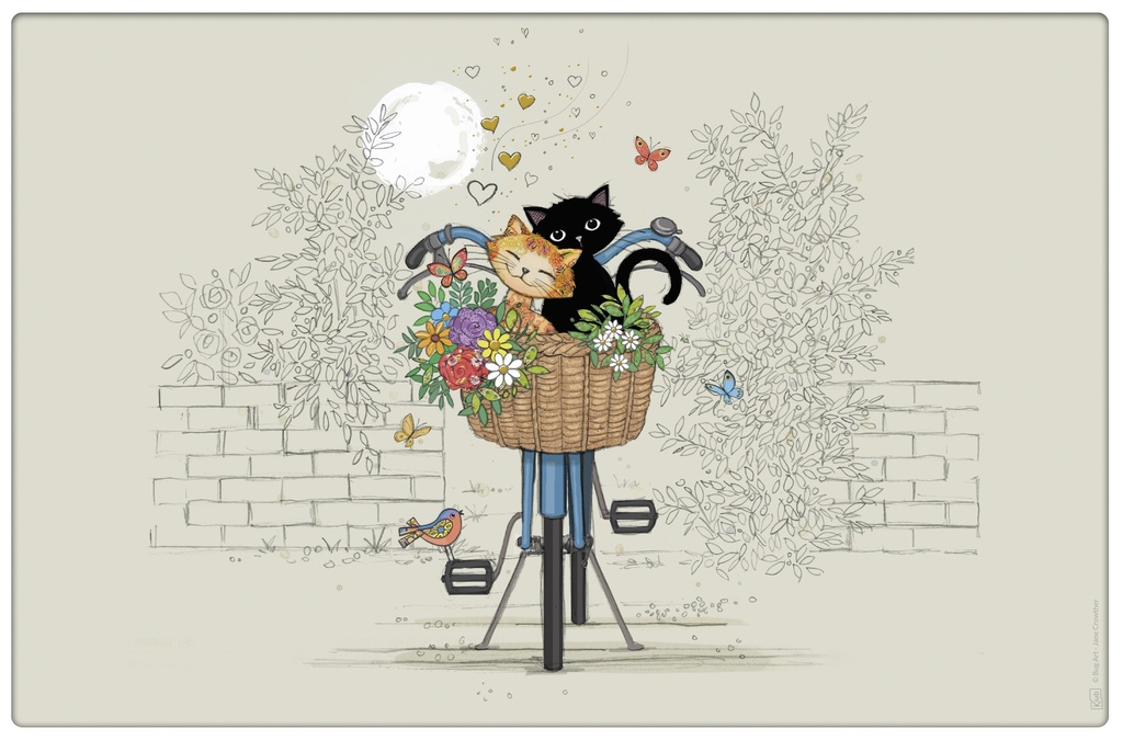 SET DE TABLE BUG ART CHATS VELO