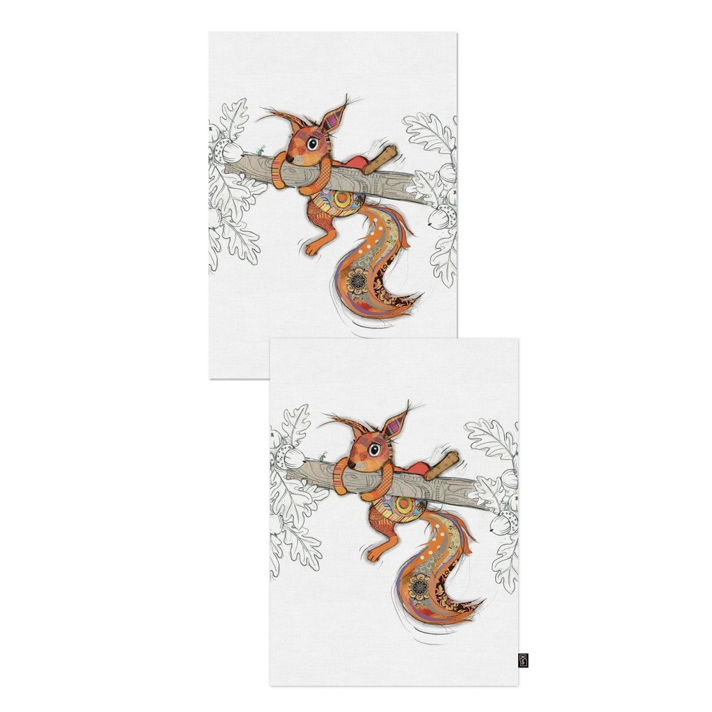 SET 2 TORCHONS EN ETUI CADEAU KOOK ECUREUIL