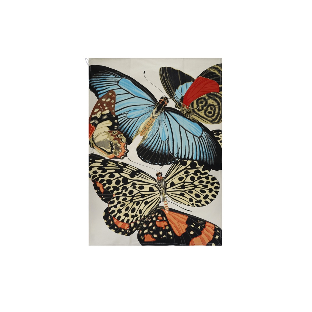TORCHON ENCYCLOPEDIA PAPILLONS BLEU