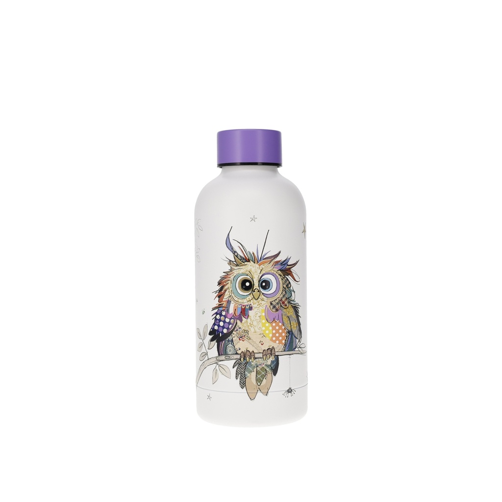 BOUTEILLE ISOTHERME 400 ML KOOK BEBE CHOUETTE