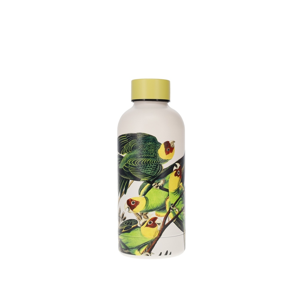 BOUTEILLE ISOTHERME 400 ML ENCYCLOPEDIA OISEAUX JAUNE