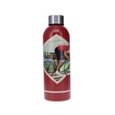 BOUTEILLE ISOTHERME 500ML PASSION VELO
