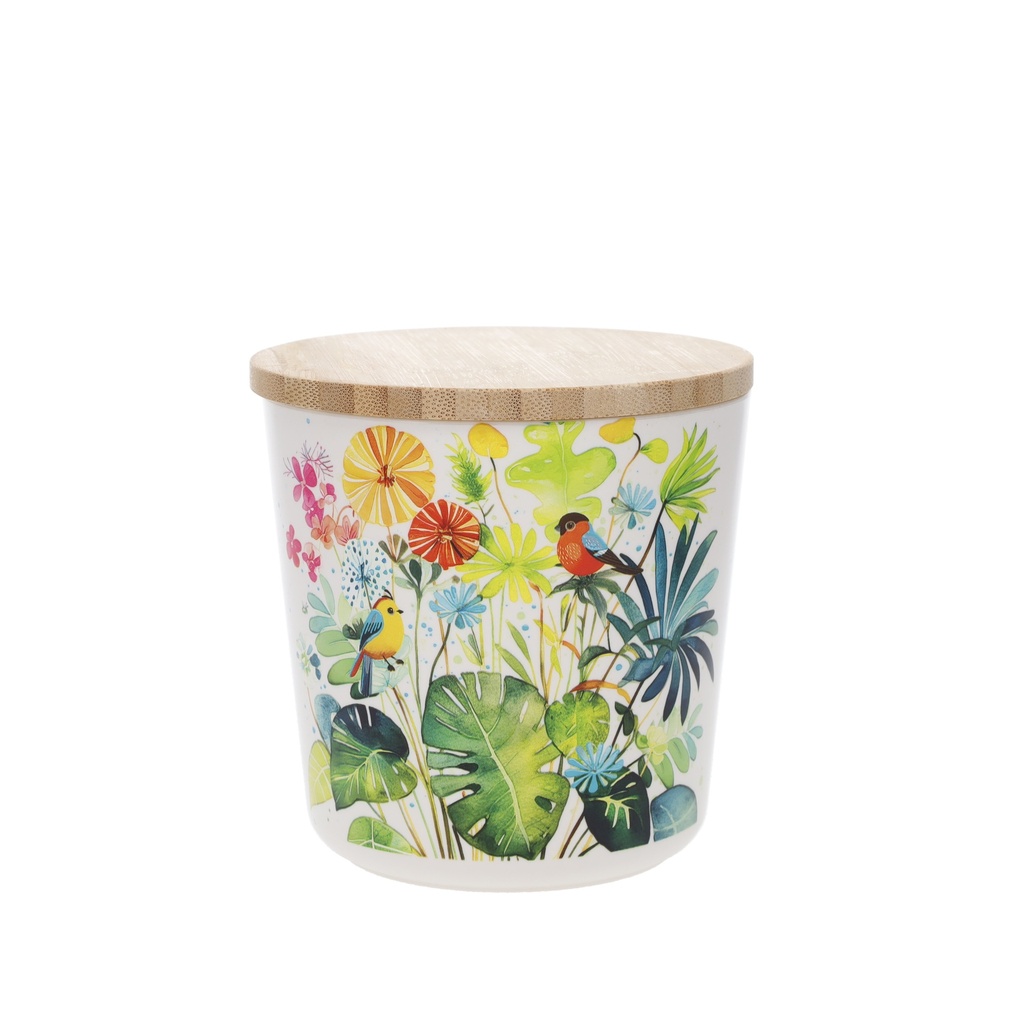 BOITE 570 ML PLASTIQUE RECYCLE ET COUVERCLE BAMBOU PORTFOLIO OISEAUX PLANTE