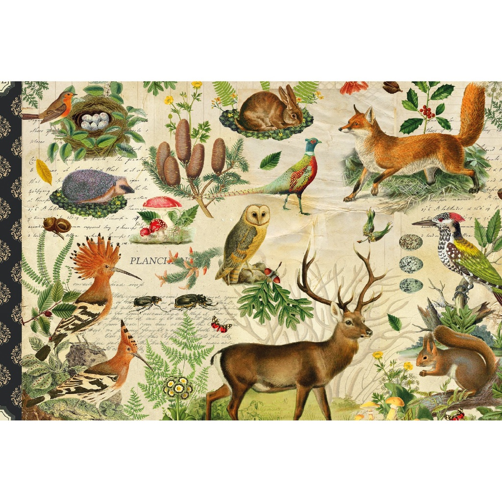 CARTE SIMPLE GWENAELLE TROLEZ 10 X 15 H