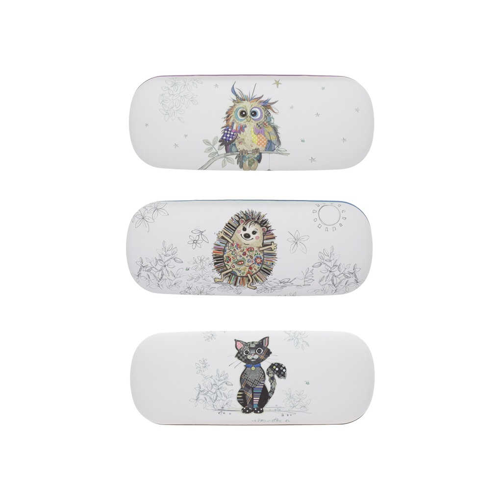 BOITE A LUNETTES RIGIDE CLASSIQUE KOOK ASSORTIS BEBE CHOUETTE CHOUPISSON CHAT NO