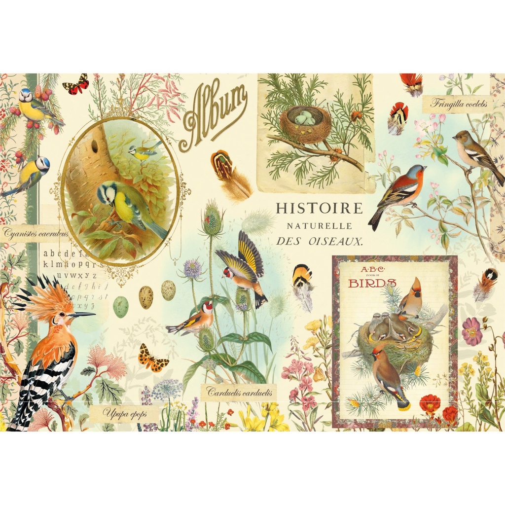 CARTE SIMPLE GWENAELLE TROLEZ 10 X 15 H