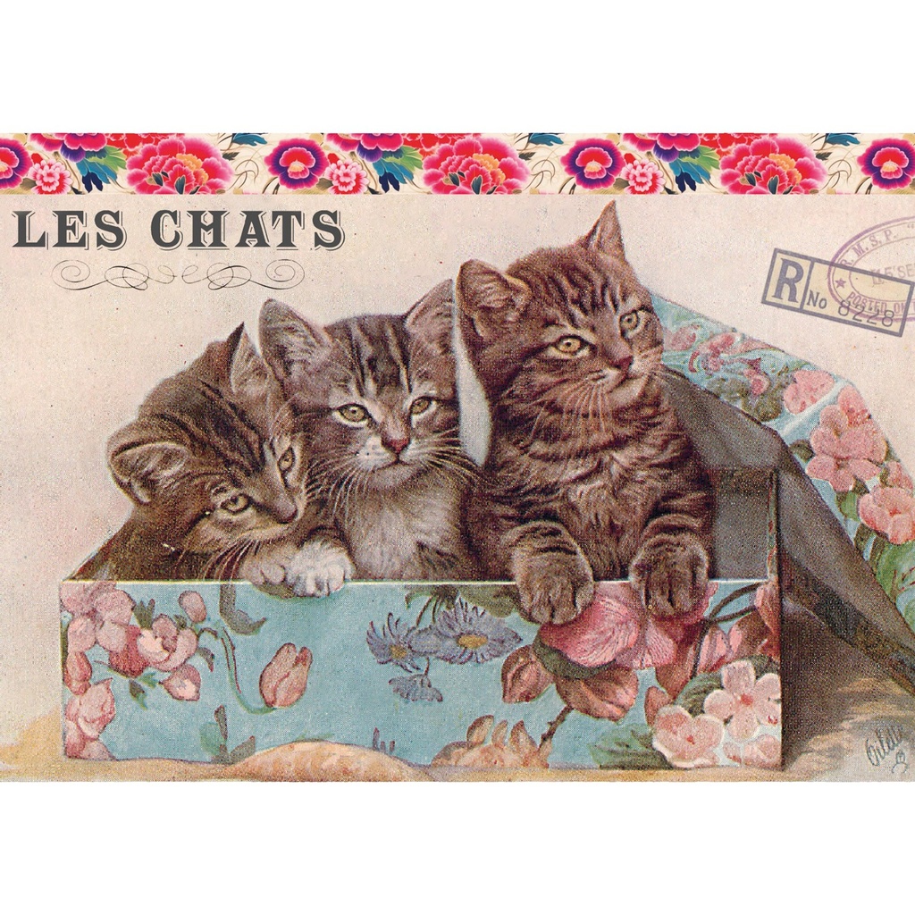 CARTE SIMPLE GWENAELLE TROLEZ 10 X 15 H