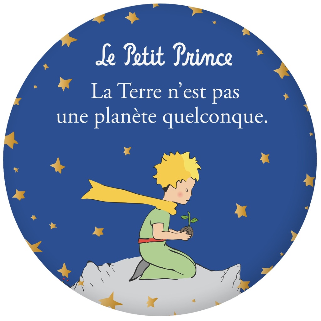 MAGNET ROND LE PETIT PRINCE PLANTE