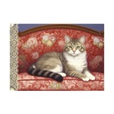 CAHIER ILLUSTRE 48 PAGES 21 X 15 CM - CHATS