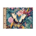 CAHIER ILLUSTRE 48 PAGES 21 X 15 CM - PAPILLONS