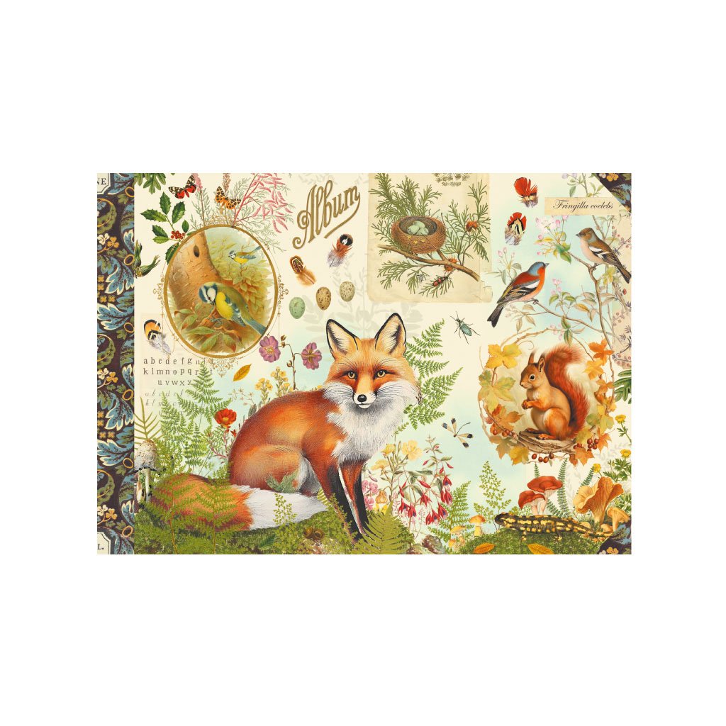 CAHIER ILLUSTRE 48 PAGES 21 X 15 CM - FORET