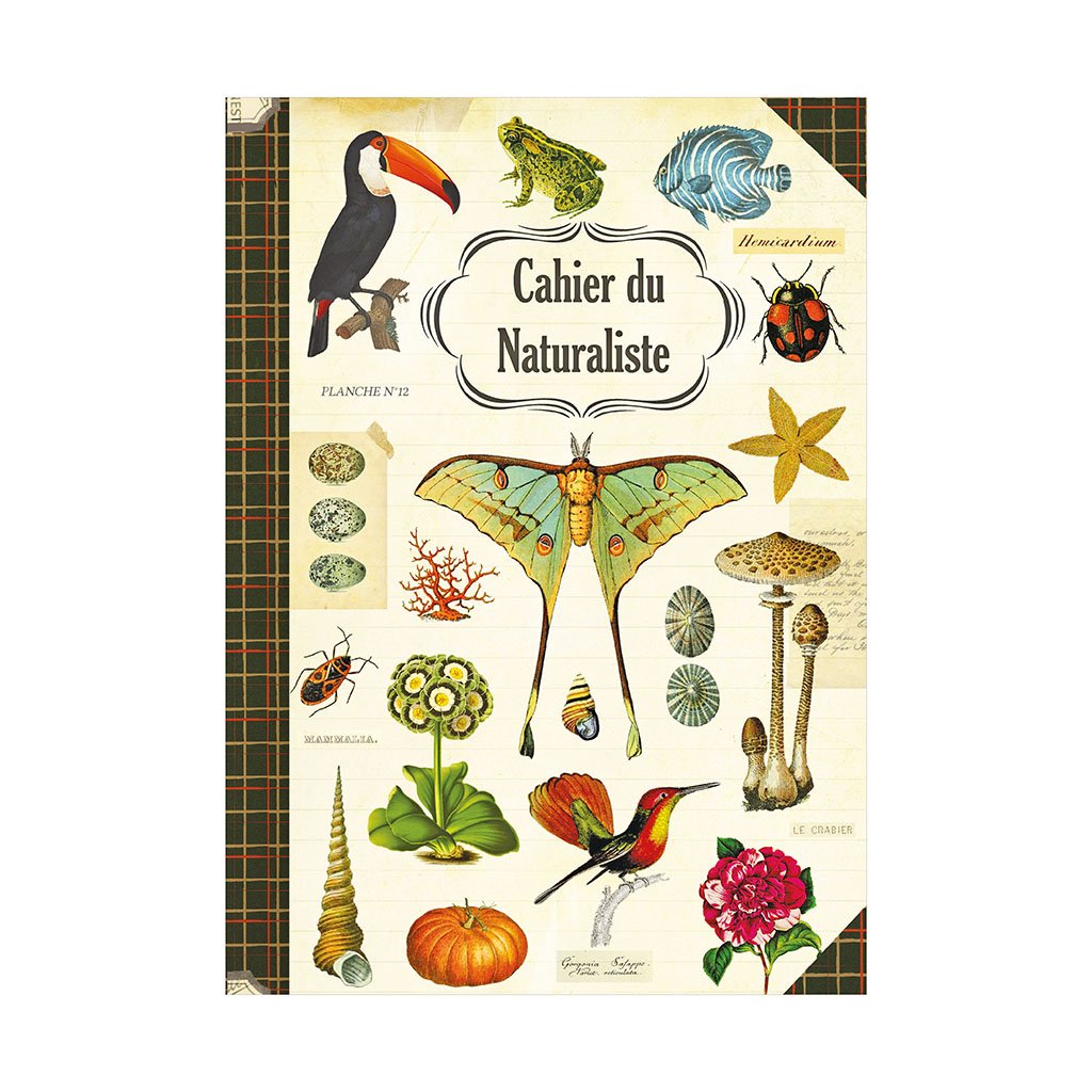 CAHIER IMAGIER 48 PAGES 15 X 21 CM - NATURALISTE