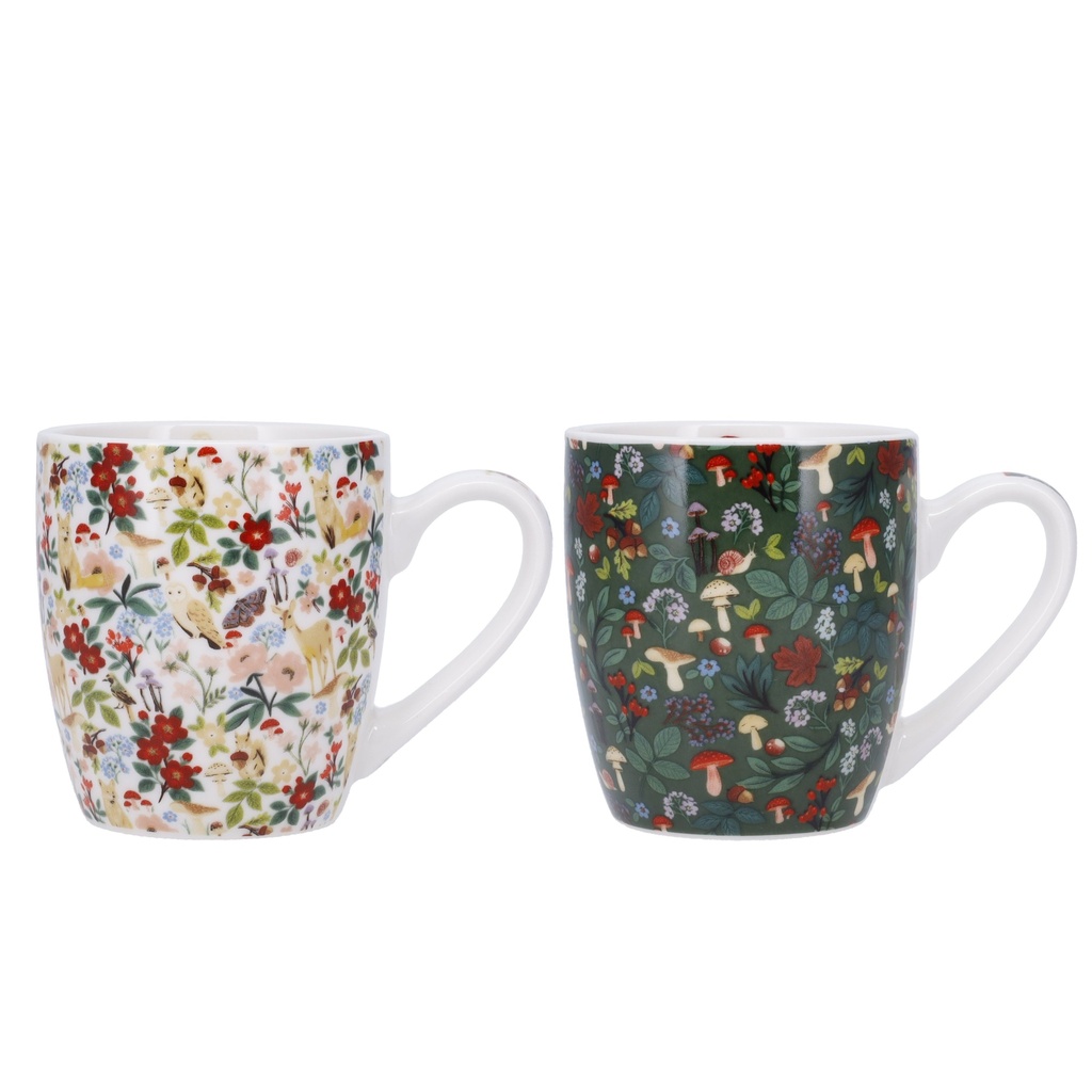 DUO MINI MUG ARRONDI + BOITE OUVERTE BALADE EN FORET