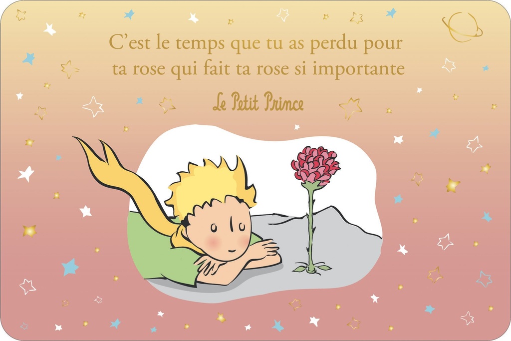CARTE SIMPLE LE PETIT PRINCE 10 X 15 H DEGRADE