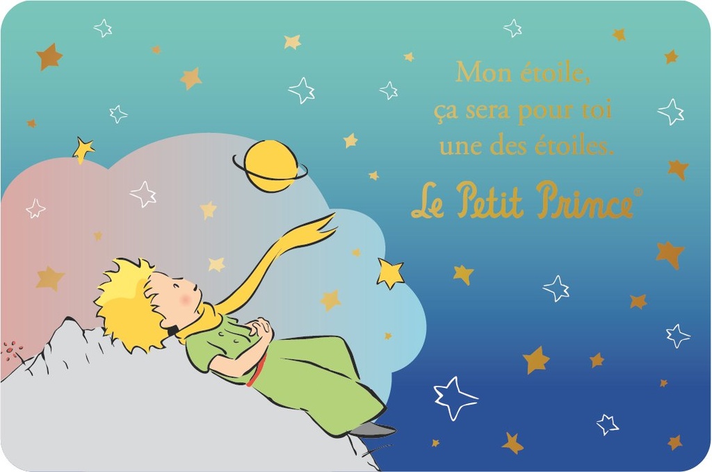 CARTE SIMPLE LE PETIT PRINCE 10 X 15 H 