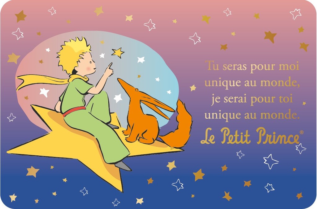 CARTE SIMPLE LE PETIT PRINCE 10 X 15 H 