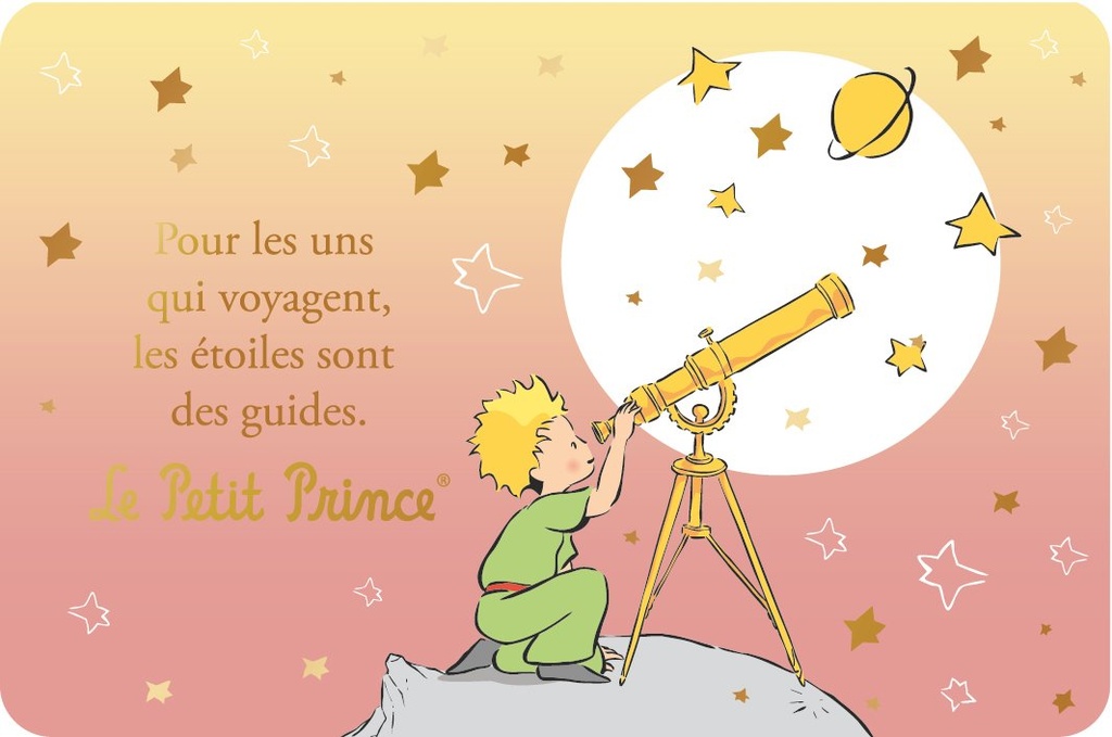 CARTE SIMPLE LE PETIT PRINCE 10 X 15 H 